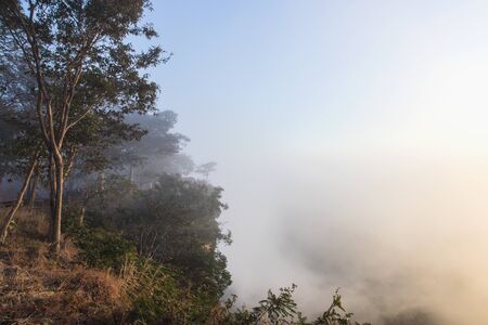 Beuatiful view of fog in the sunrise at Pha Mor E-Dang, Sisaket, Thailand.
