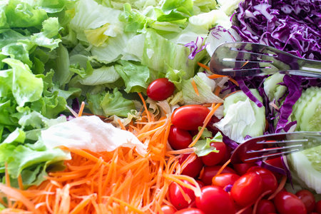 Fresh vegetables for making salad.の写真素材