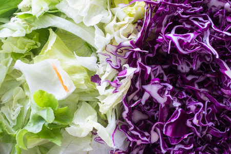 Fresh vegetables for making salad.の写真素材