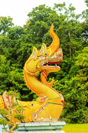 budhaの写真素材