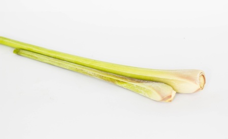 the lemon grass in kitchenの写真素材