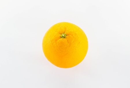gold orange in white groundの写真素材