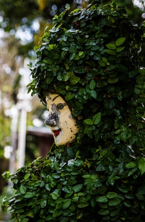 a beautiful fece in  the green leaf at temple north thailandの写真素材