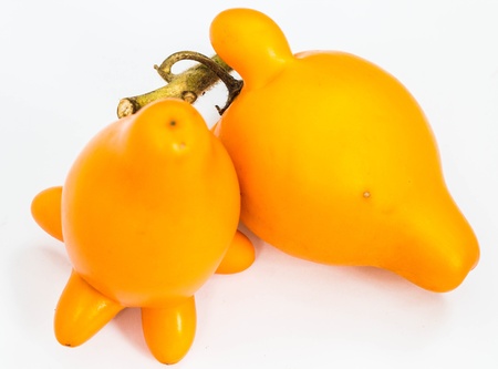 the cartoon eggplant on the white groundの写真素材