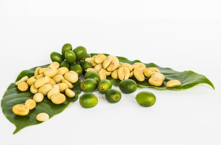 the coffee bean on the green leafの写真素材