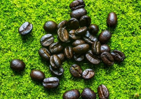 black coffee'bean in mosの写真素材