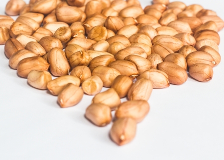 many peanuts on white groundの写真素材