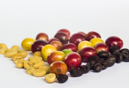 coffee bean and green leafの写真素材