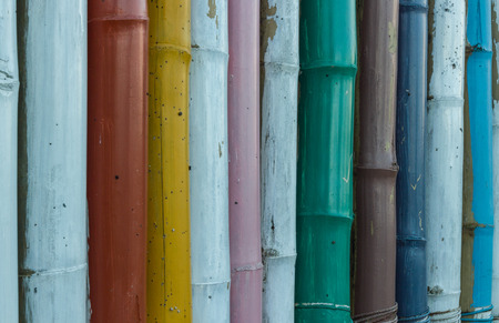 the colorful of bamboo in malanoiの写真素材