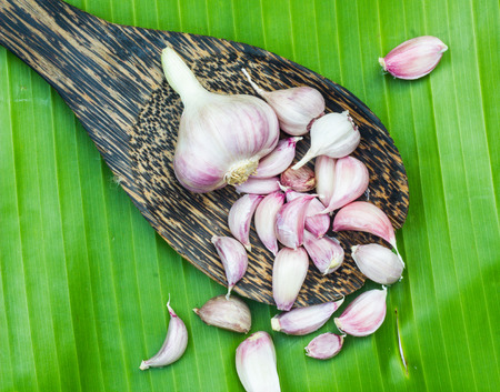 garlic is important for thai foods in kitchenの写真素材