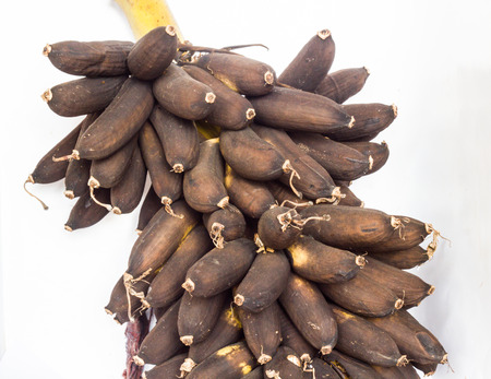 bananas rot in garden is animal food.の写真素材