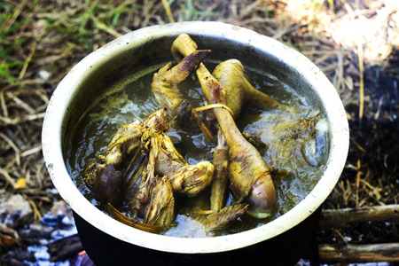 Boiled chicken in a pot of boiling water by fire.の写真素材