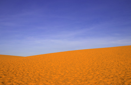 sand pattern and blue sky of a beach in the summerの写真素材