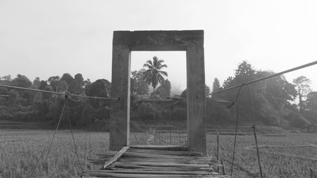 Bridge and coconut tree at stew rice fieldの写真素材