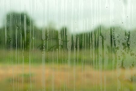 water drops on window glass and red flower.の写真素材