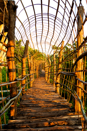 bamboo fence or wall texture background for interior or exterior design.の写真素材