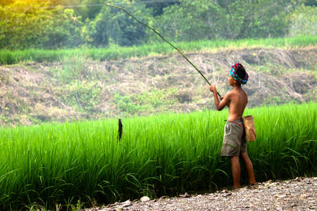lifestyle asian boy fishing,happy children catch a fish in rice paddy countryside Thailand.の写真素材