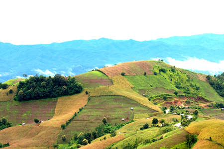 Panorama of beautiful view on hills.の写真素材