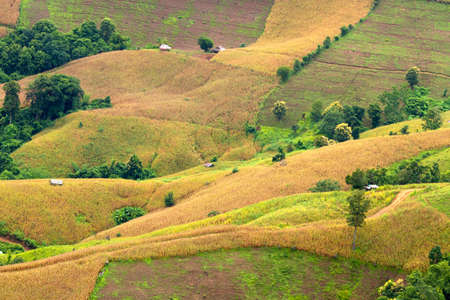 Panorama of beautiful view on hills.の写真素材
