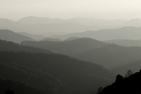 Panoramic view of mountains, autumn landscape with foggy hills at sunriseの写真素材