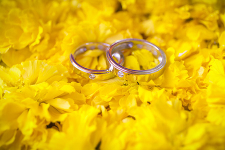 Stock Photo - wedding ringsの写真素材