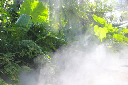 smoke from the hot spring in the garden, thailand.の写真素材