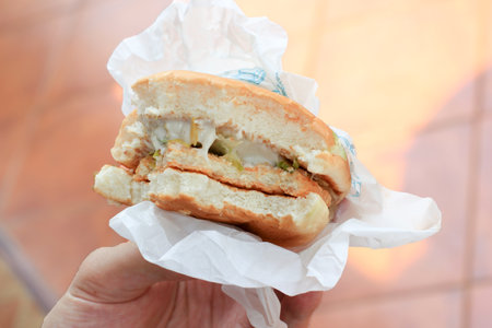 Sandwich with chicken and vegetables on paper in hand, stock photoの写真素材