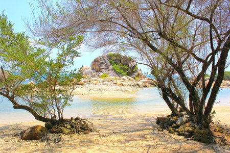 Tropical beach with turquoise water and granite rocks.の写真素材