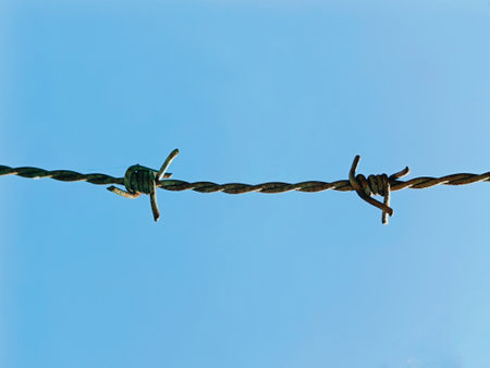 Barbed wire on blue sky background. Close up of a Barb on a Barbed Wire Fence, Barbed wire against...