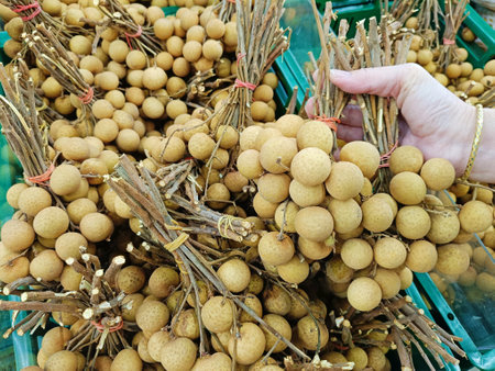 Longan fruit on display at a fruit market in Thailand, fresh bunches of longan fruits displayed for sale in a market, hand is holding one bunch.の写真素材