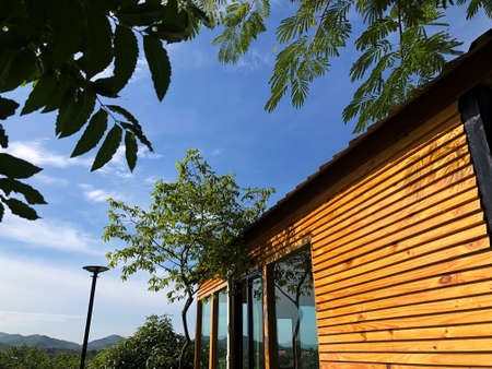 Yellow wooden house with blue sky , White cloud  and Green tree and leaves.の写真素材