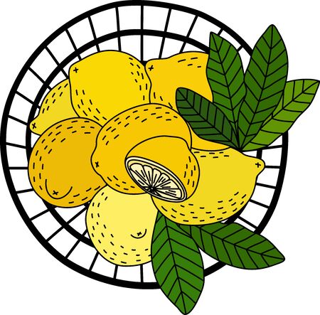 Cartoon of Lemon fruit and leaves in the basket. Itâs very yummy. Simple cute hand draw line vector and minimal icons flat style Character illustration.のイラスト素材