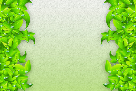 Drop On Leaves Frameの写真素材