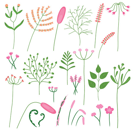 Drawing set of different plants and flowers in hand-drawn for decoration in your designs, vectorのイラスト素材