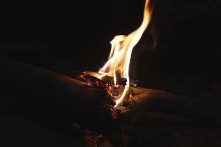 Flame of burning wood at night, burning firewood at the campfire