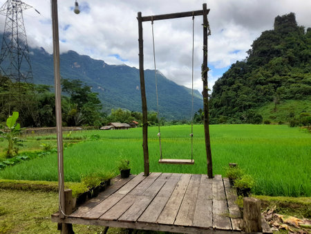 Empty wooden swing in paddy flied.の写真素材
