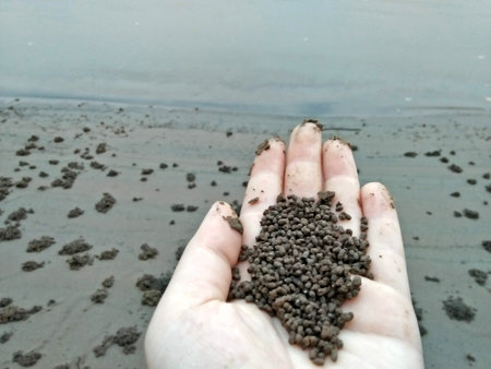 Black worm castings in hand of man on the background of the river bank.の写真素材