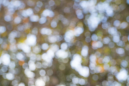 Abstract lights of nature background or wallpaper, Beautiful Bokeh Backgroundの写真素材