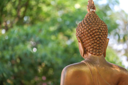 backside of image of Buddha head and shoulders on blur backgroundの写真素材