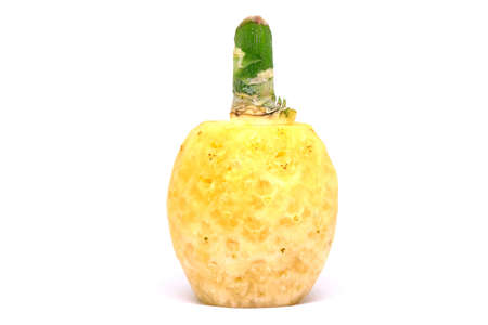 Peeled pineapple isolated on a white backgroundの写真素材