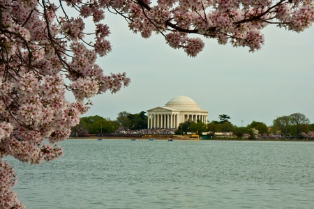 Jefferson memorial with cherry blossom, DCのeditorial素材