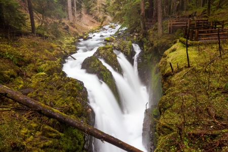 Sol Duc falls, national park, WA USの写真素材