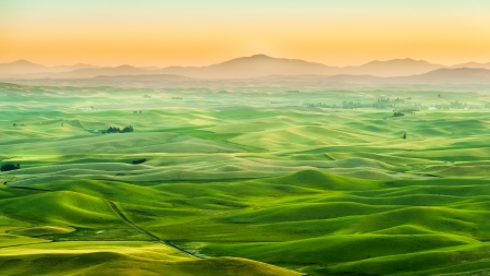 Beautiful landscape of crop field in Palouseの写真素材
