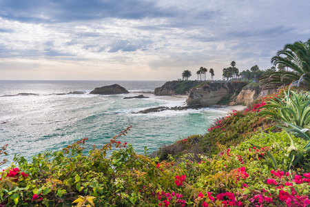 Beautiful park at Laguna Beach, Californiaの写真素材