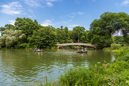 people roll boats Central park in summer, NYCの写真素材