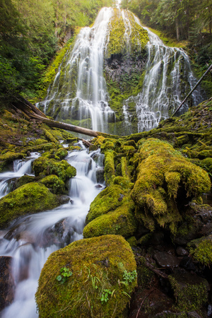 proxy falls and mossy logs in Oregon.の写真素材