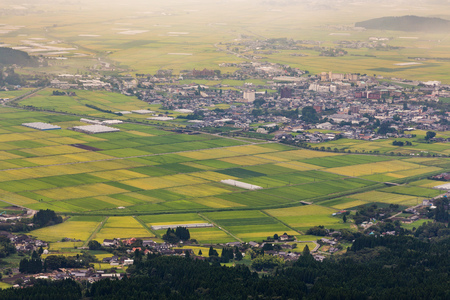 Green rice field in Aso village in Kumamoto, Japan.の写真素材