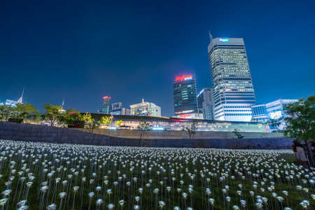 SEOUL, SOUTH KOREA - JUN 29, 2018 : LED rose field at Dongdaemun Design Plaza (DDP) and city skyline view at night is one of the top tourist attraction in Seoul.のeditorial素材
