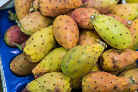 Close up prickly pears or Opuntia ficus indica in the market, Cactus fruitsの写真素材