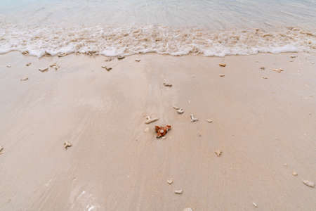 Crashing wave and coral on the beach in Phayam island, Ranong, Thailand